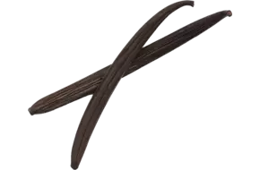 Vanillepeulen planifolia zwart blik 6st